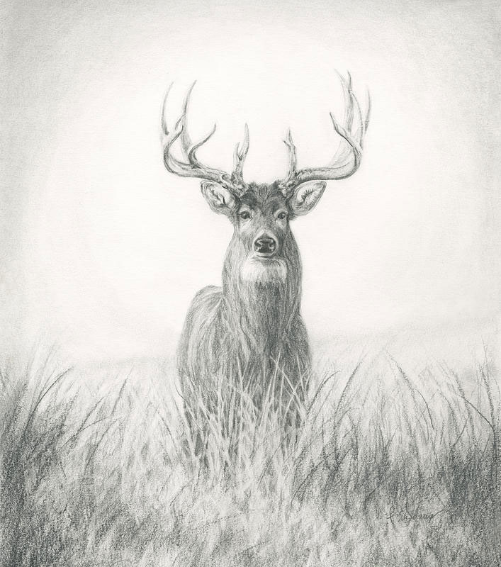 Meade Locker & Processing Meat Processing Meade KS