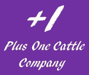 Private Label Options 9